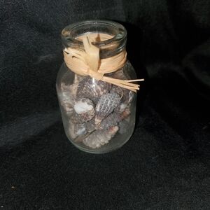 Decorative Seashell Jar with Natural Accents